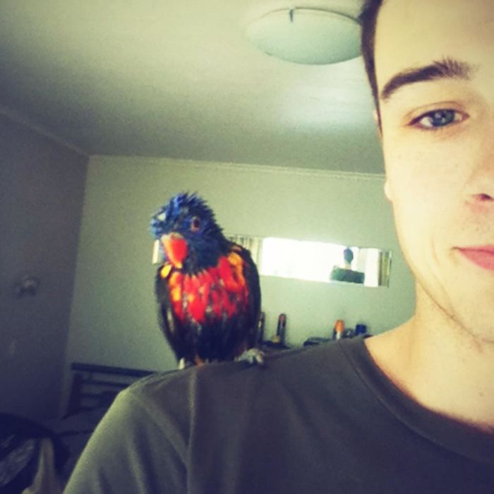 My Parrot Likes To Take A Bath Every Day. He Looks Funny Afterwards