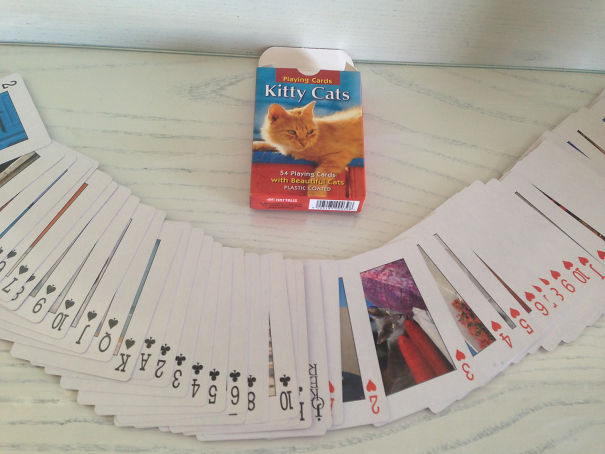 Bought This While Drunk. No Regrets