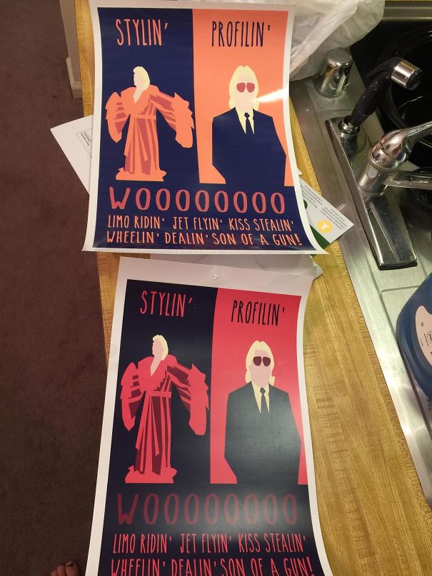 My Boyfriend Got Drunk And Bought This Poster For $12