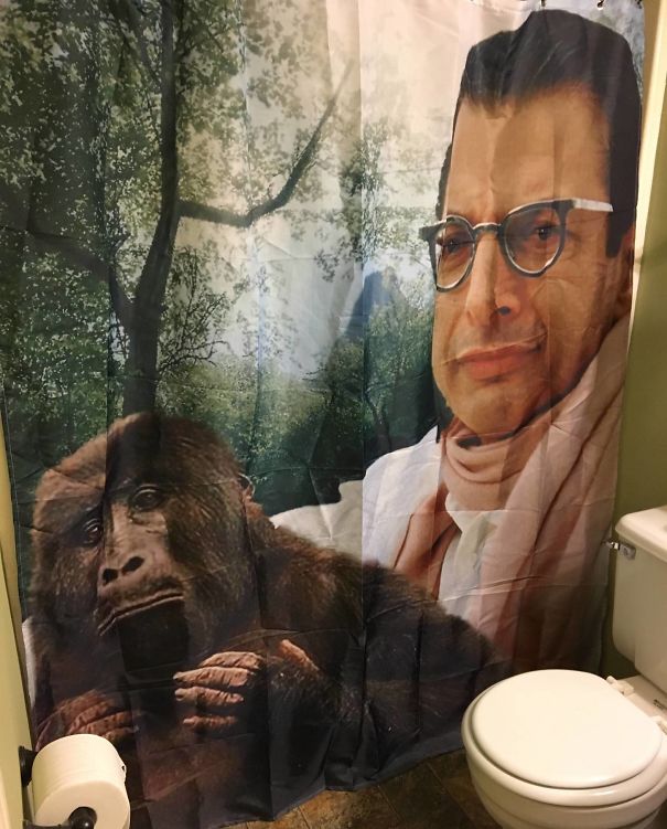 Best Drunk Amazon Purchase I've Ever Made