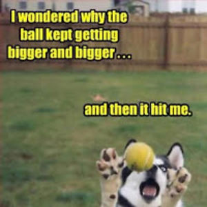 jaidenhampton avatar