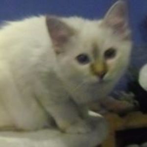 monatabbymax91 avatar