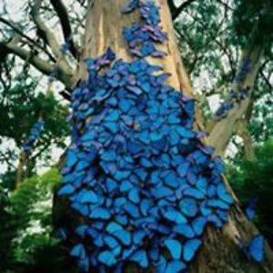 crystalmchaffin avatar