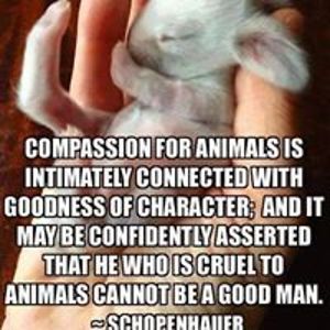 bobby_freedom avatar