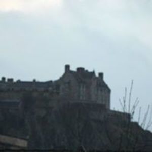 wendy_brown73 avatar