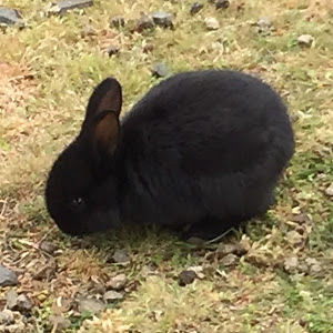 jackhuntington avatar