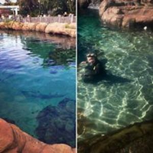 kimberleyc_tam avatar