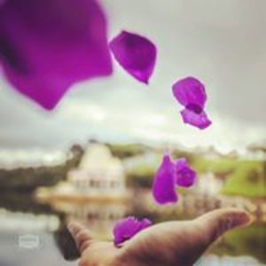 framedstudios96 avatar