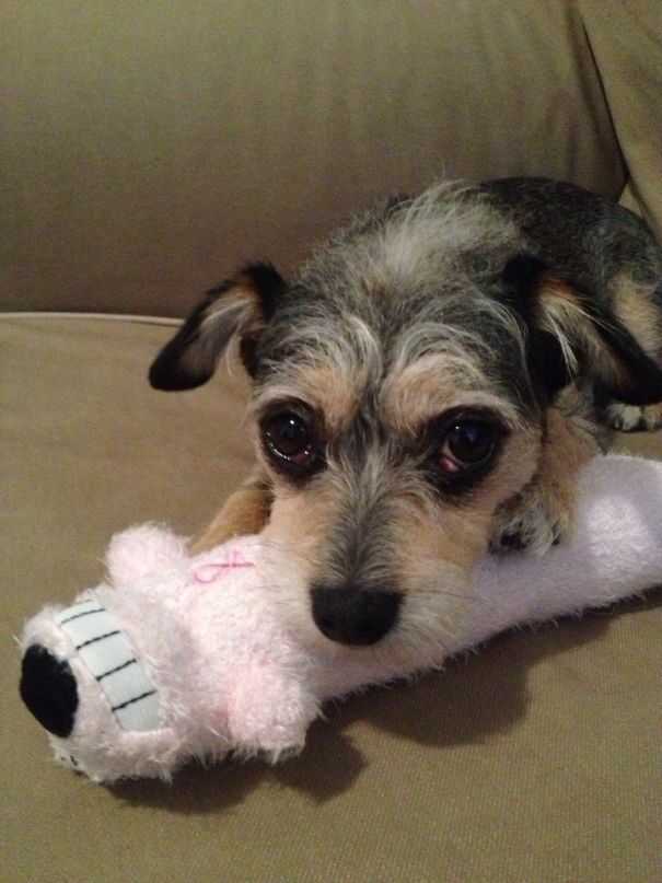 Cuddling With Her New Toy