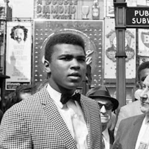 augustaadahypatia avatar