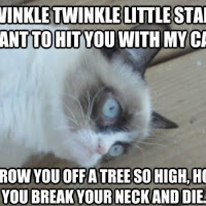 briannacarrelli avatar