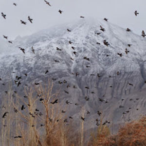 katherinebrodiemoyes avatar