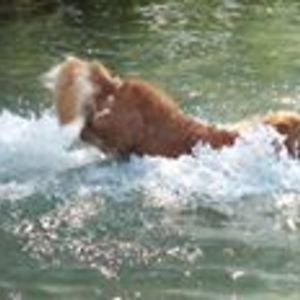 funintherain234 avatar