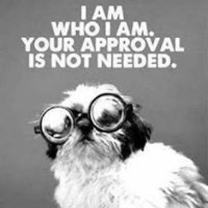 evilmonkey2k8 avatar