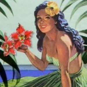 spoonymoonerman avatar