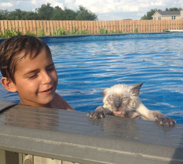 My Little Brother Put Our Cat In The Pool. He Wasn't A Fan