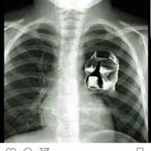 laughnowsmilelater123 avatar