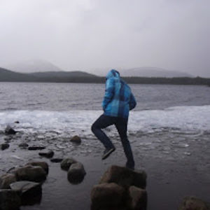 stuartcrawford avatar