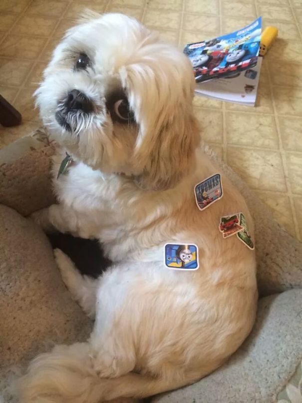 Patience Of A Sainte