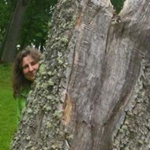 pille_varmann avatar