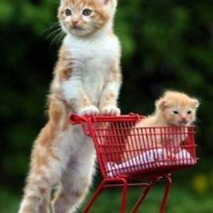 cjluvscupcake avatar