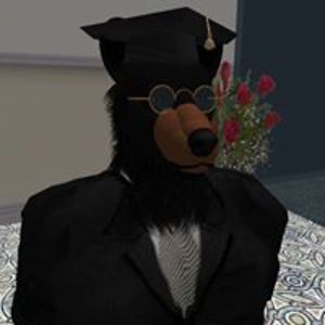 jerrybear75 avatar