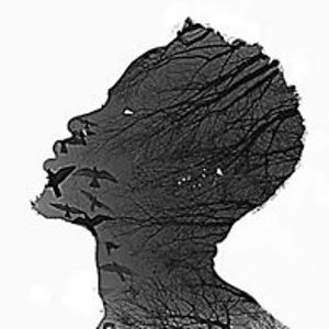 mohamedsokhna avatar