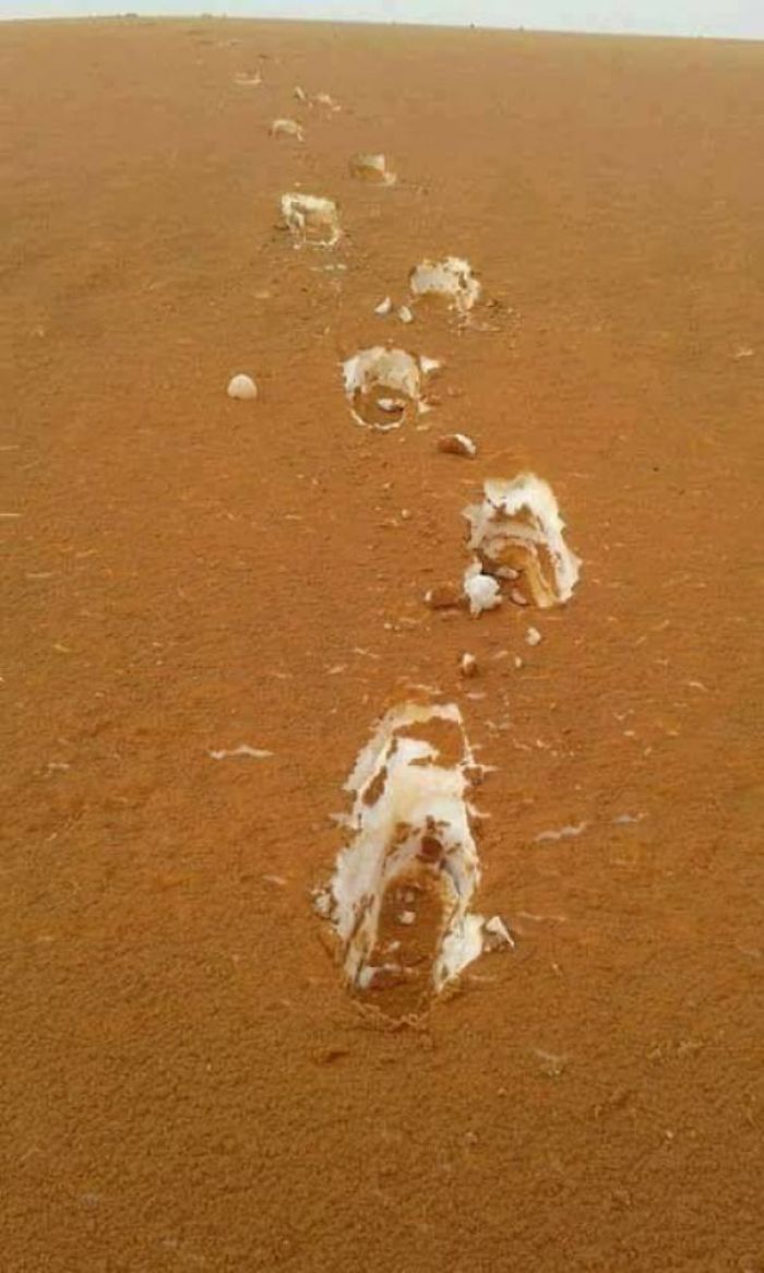 This Photo Taken In The Algerian Desert Of Sand Covered Snow Looks Like Tiramisu