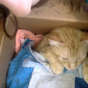 kristinpowell avatar