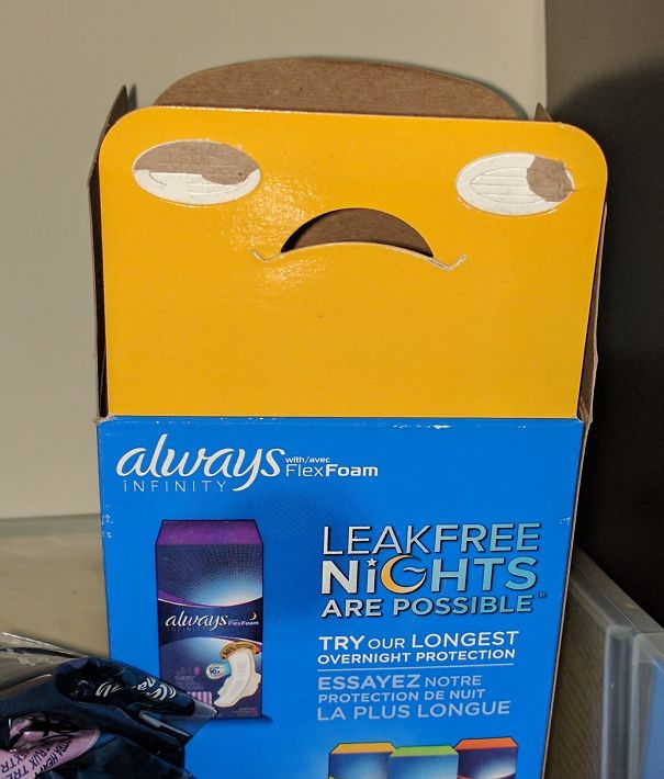 I Opened This Box And Now It Looks Annoyed