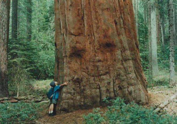 Child hugging a giant tree with a face-like pattern, showcasing funny pareidolia in natural everyday objects.