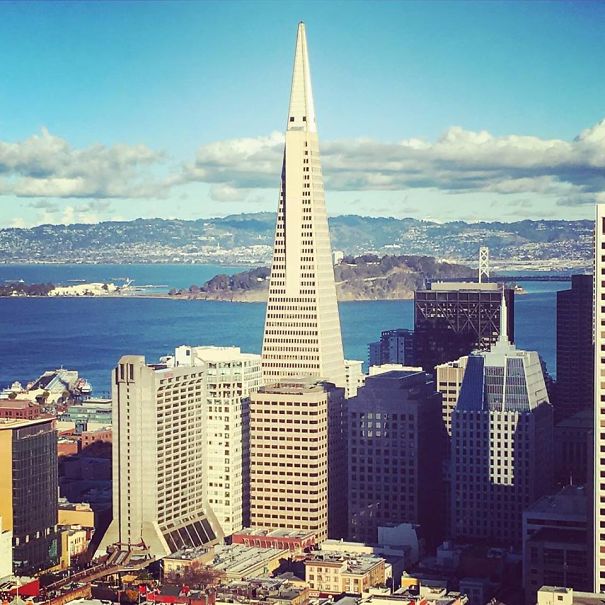 An Unimpressed Bearded Wizard Towers Over San Francisco