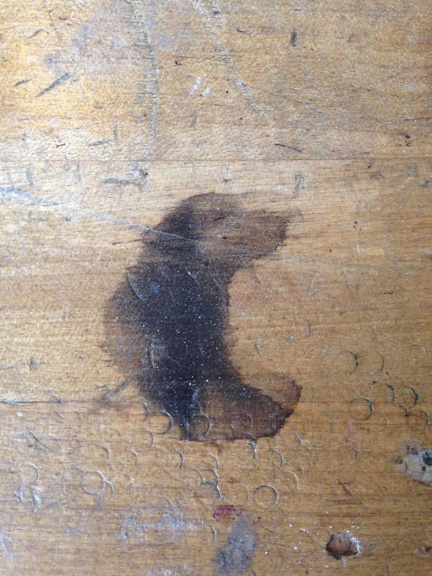 This Stain On My Table Looks Like A Dog Passionately Taking In A Sweet Smell