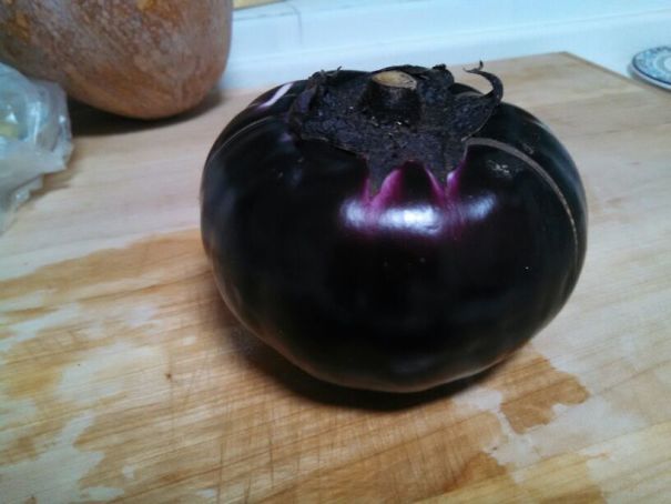 This Eggplant Looks Like An Evil Tomato