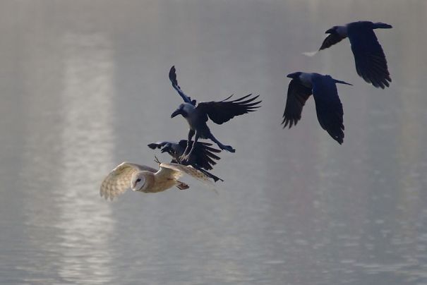 Even More Brave When Together