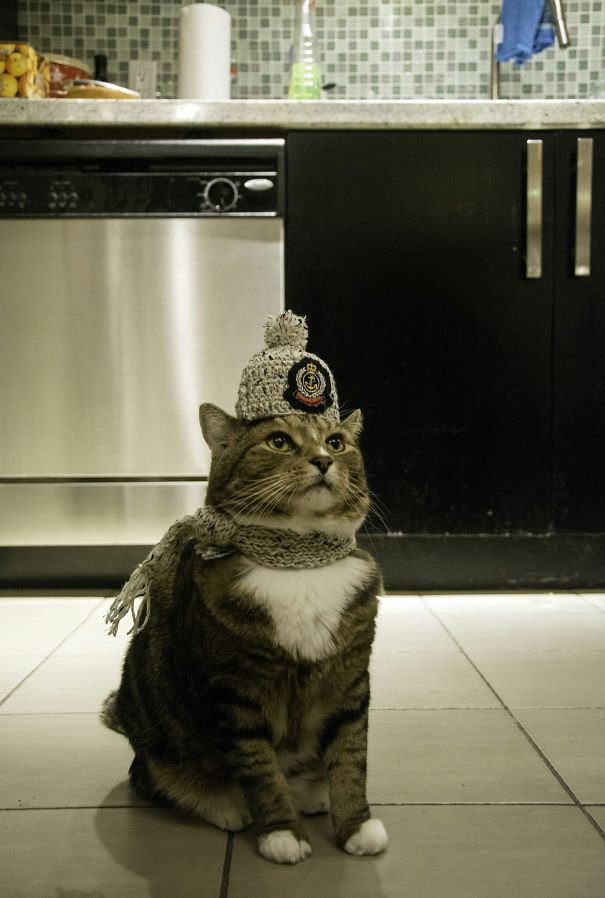 My Friend's Mom In Poland Knit A Scarf And Crocheted A Hat For Miko