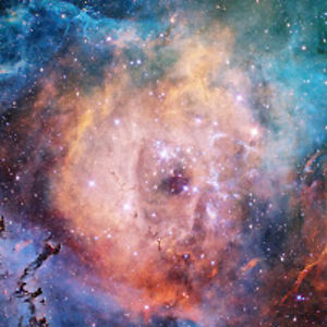 raeannepuckett avatar