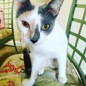 heartsfromme42 avatar