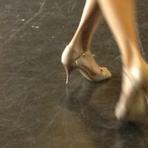 shawfitzgerald avatar