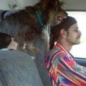 les_dickerman avatar