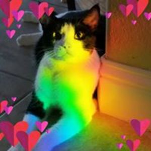 arterburn_misty avatar