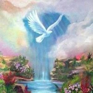 booboonleelee avatar