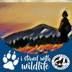 wills_jupiter avatar