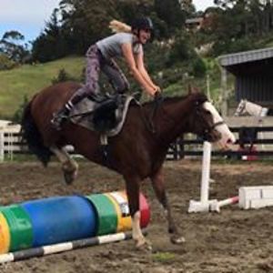 makaylapet2004 avatar