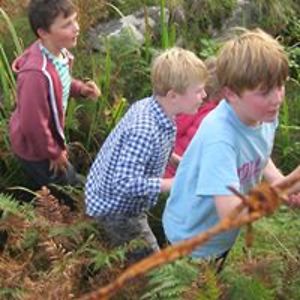 archiegrishipol avatar