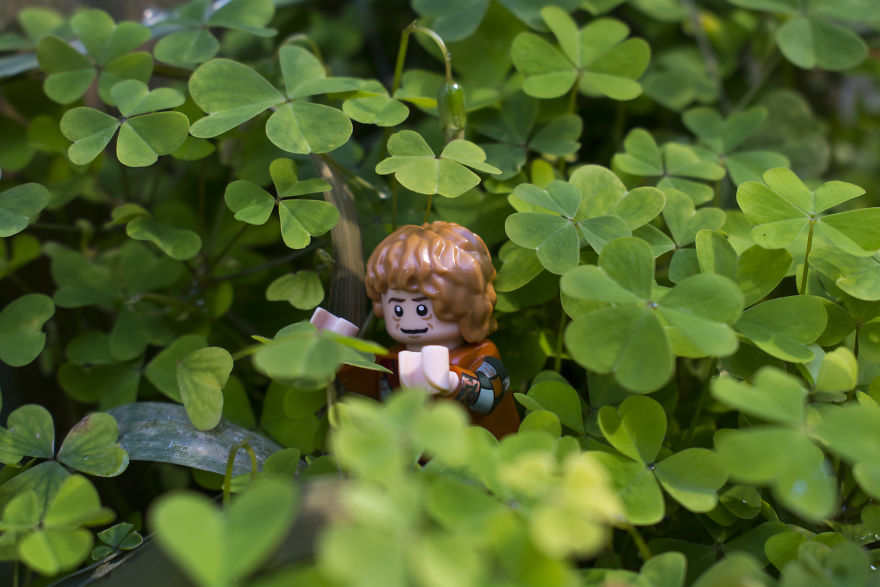 I Created A Little Lord Of The Rings Inspired Story With Lego Minifigures I Created A Little Lord Of The Rings Inspired Story With Lego Minifigures