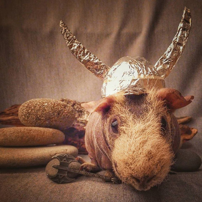 I Photographed A Skinny Model Using My Mobile Phone Camera