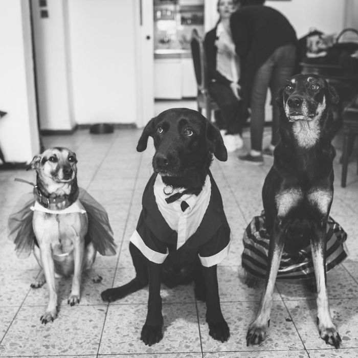 Our Wedding Best Man And Best Woman's Are The Best!