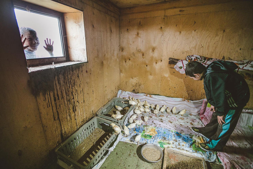 Diary Of The Arctic Diary Of The Arctic