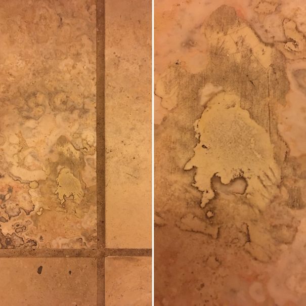I Found Ludwig Van Beethoven In My Bathroom Floor Tile.